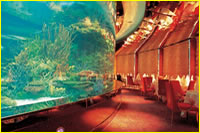 Burj Al Arab Hotel